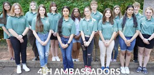4-H Ambassadors